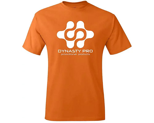 Hanes 100% Cotton T-Shirt Colors