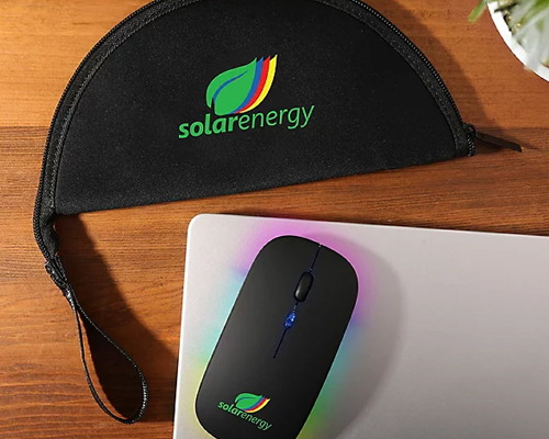 Mouse in A House Kit